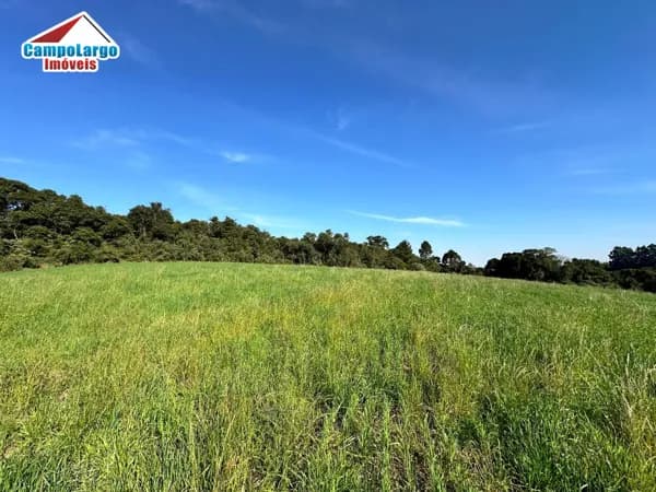 Lote/Terreno em Campo Largo - Campo do Meio