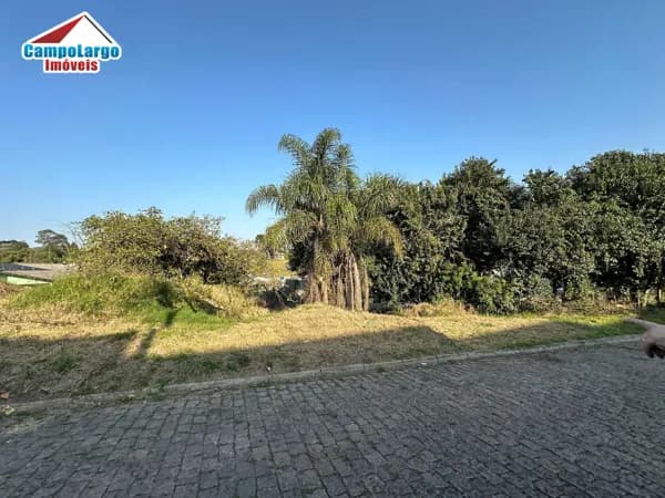 VILA SOLENE (DIREITO)