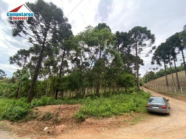 Fazenda/Sítios/Chácaras em Campo Largo - Itaqui de Cima