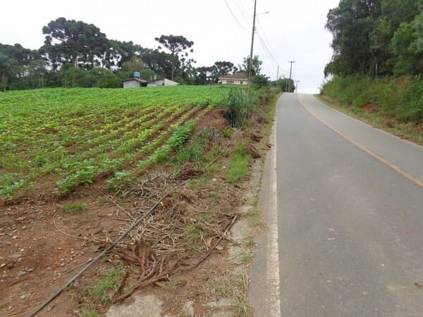 Estrada da Sereia