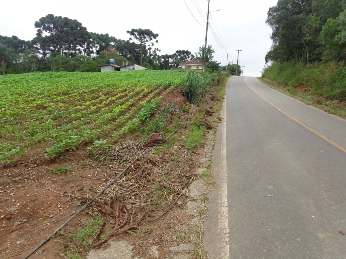 Estrada da Sereia