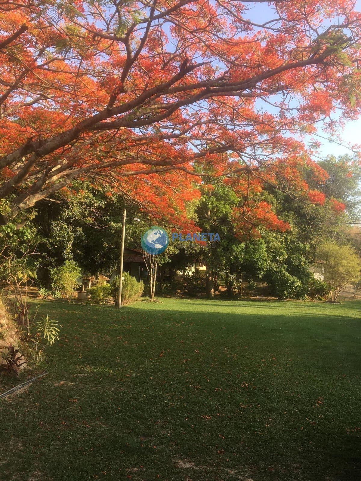 Lindo Sítio em Santa Luzia.