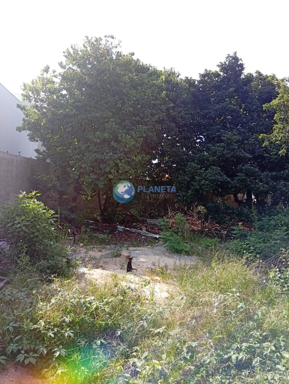 Terreno Lote em Planalto, Belo Horizonte/MG
