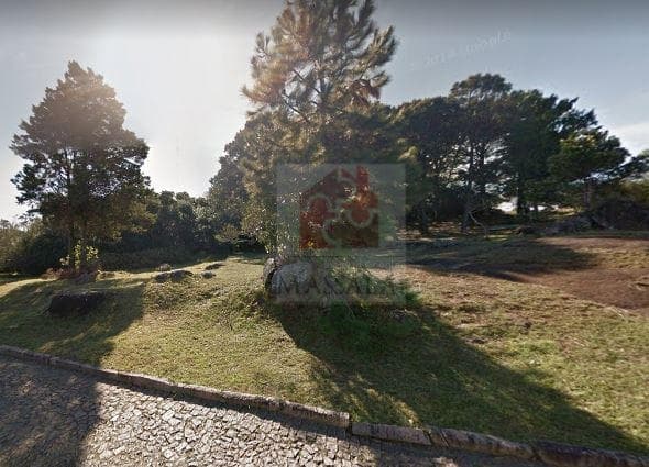 Lote/Terreno em Porto Alegre - Teresópolis