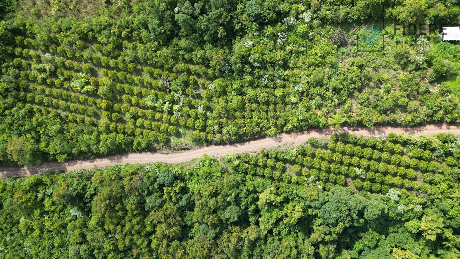 Fazenda/Sítios/Chácaras em Tupandi - Santa Rita