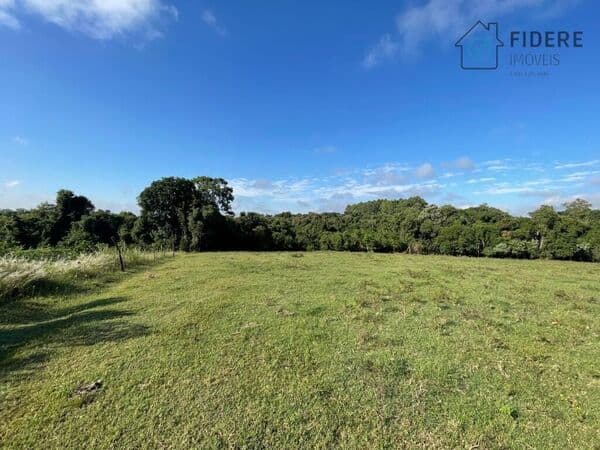 Lote/Terreno em Harmonia - Morro Peixoto