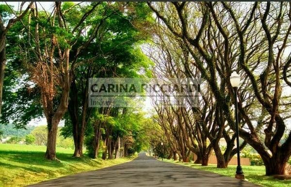 Fazenda Serra Azul II Terreno à Venda