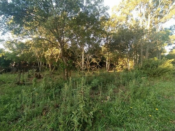Lote/Terreno em Cachoeira do Sul - Parque Xangri-lá