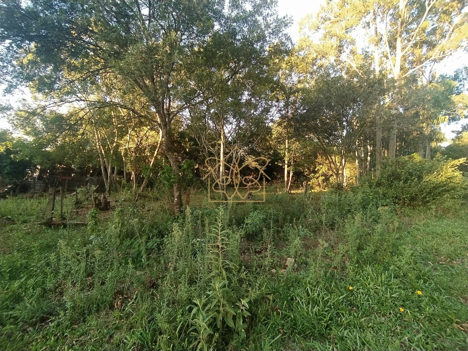 Lote/Terreno em Cachoeira do Sul - Parque Xangri-lá