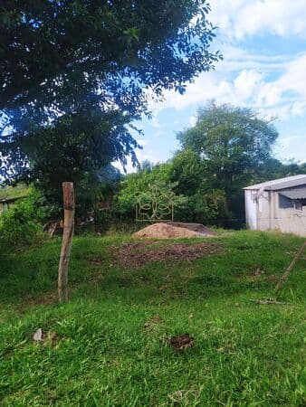 Lote/Terreno em Cachoeira do Sul - Barcelos