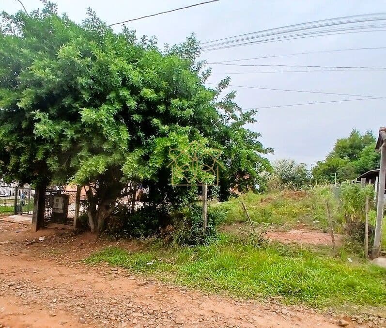 Terreno Lote em COHAB, Cachoeira do Sul/RS
