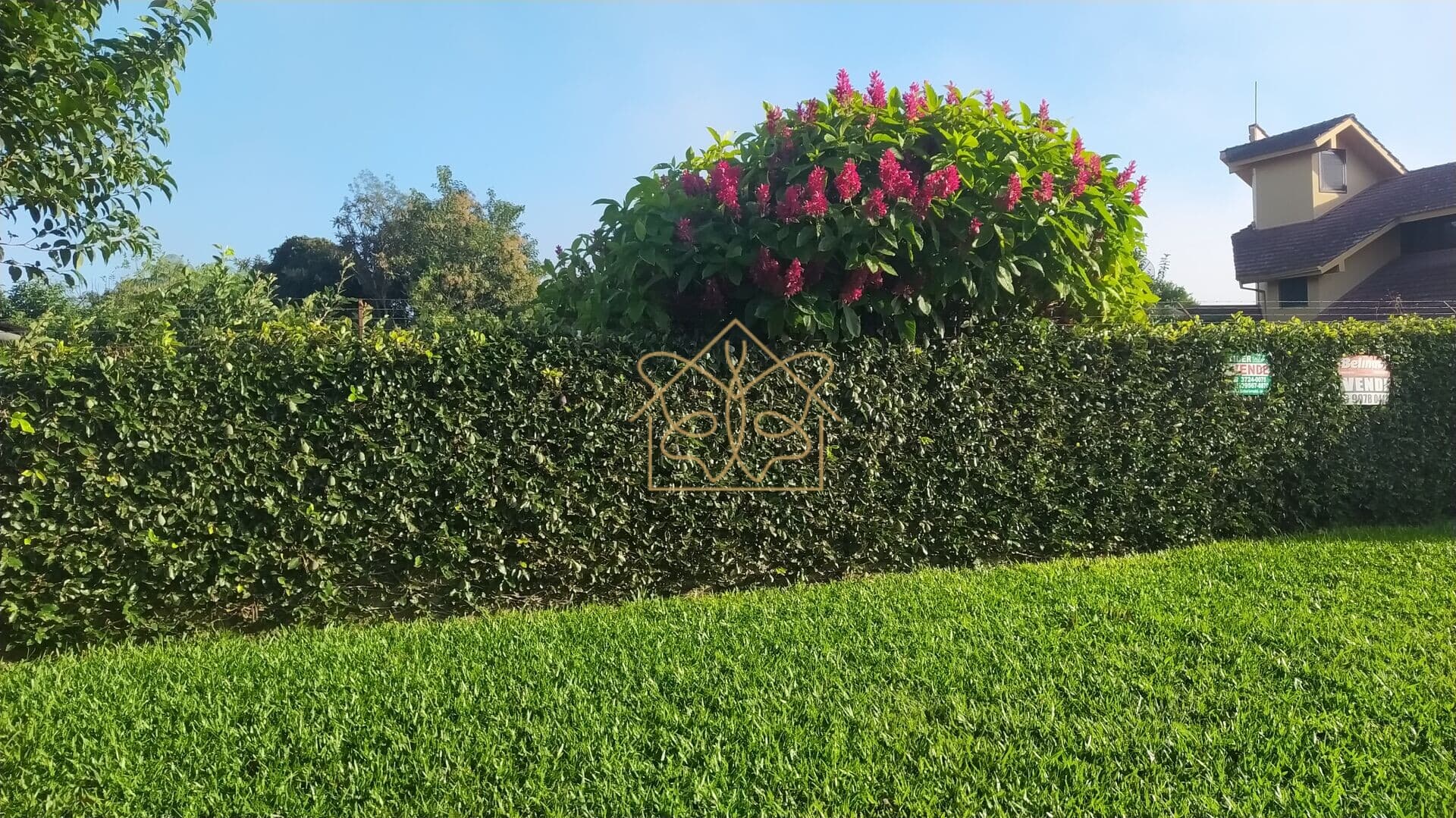 Lote/Terreno em Cachoeira do Sul - Alto Amorim