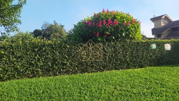 Lote/Terreno em Cachoeira do Sul - Alto Amorim