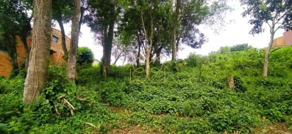Lote/Terreno em Cachoeira do Sul - Gonçalves