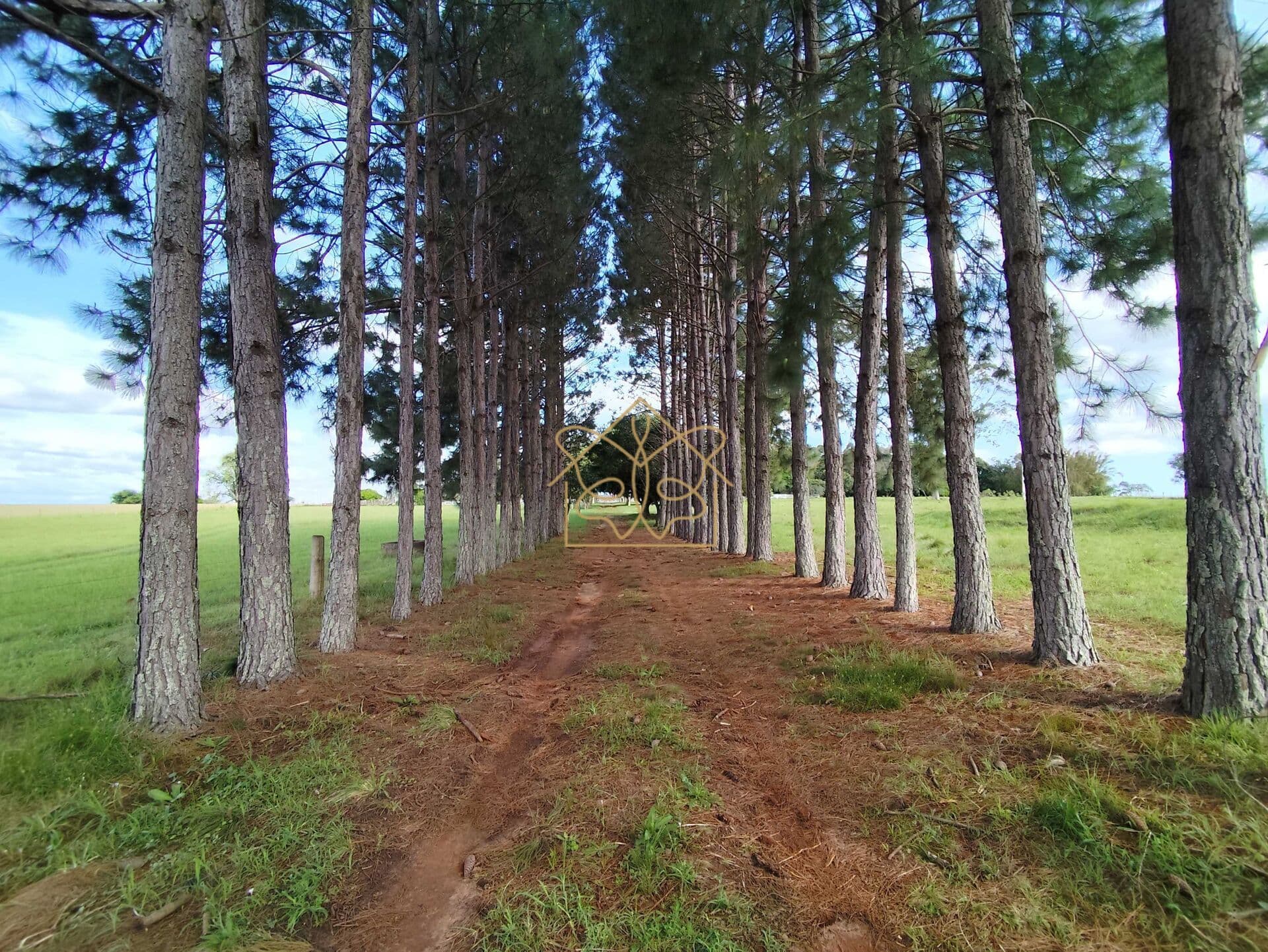 Chácara em Três Vendas, Cachoeira do Sul/RS