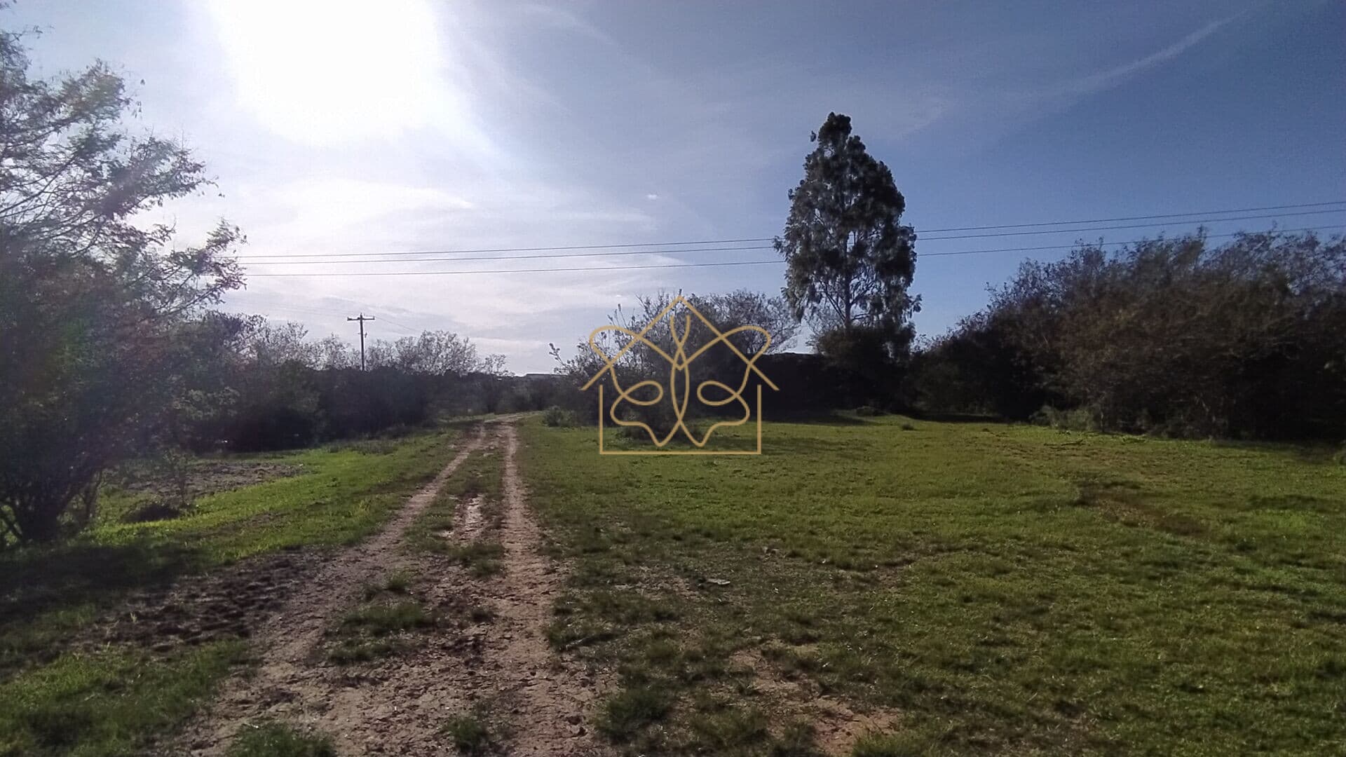 Fazenda/Sítios/Chácaras em Cachoeira do Sul - Universitário