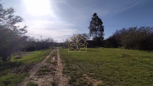 Fazenda/Sítios/Chácaras em Cachoeira do Sul - Universitário