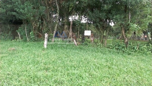 Sítio Sítio para Venda em Loteamento Rural Palermo Gravataí-RS