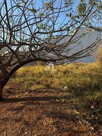 Terreno à venda, 250 m² por R$ 120.000 - Sonho Verde- Itumbiara/GO