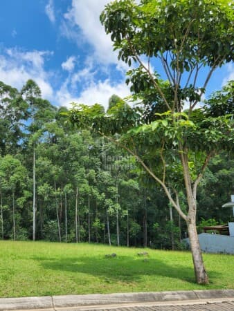 Terreno em Tamboré, 590m² - Santana de Parnaíba/SP
