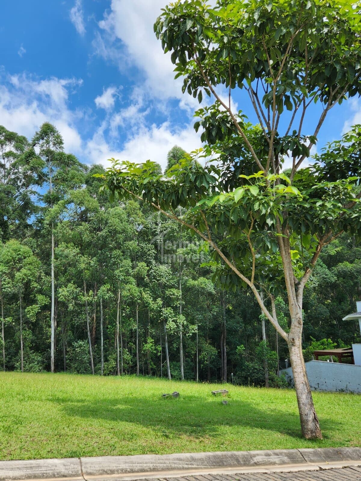 Terreno em Tamboré, 590m² - Santana de Parnaíba/SP