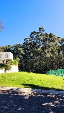 Terreno com vista Permanente para a Mata - Condomínio Tamboré 11 - 590m²