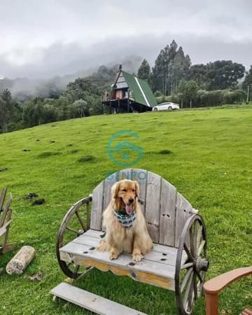 Chalé e uma Cabana com Vista para as Montanhas e Terreno de 45.000m² (4.5 Hectares à venda em Urubici/SC