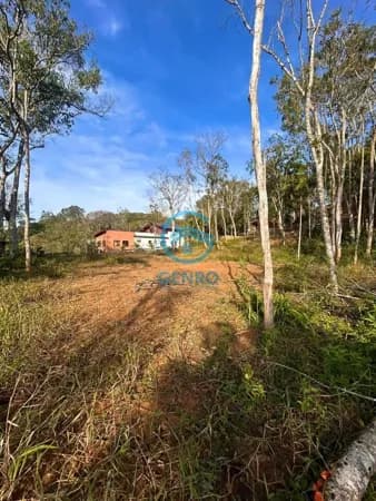 Lote para Chácara em Meio a Natureza e Terreno com 2.000m² à venda em Canelinha/SC