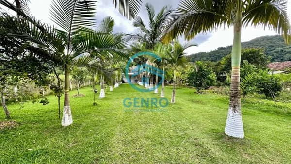 Chácara em Meio a Natureza com Riacho e Terreno de 5.000m² à venda em Canelinha/SC