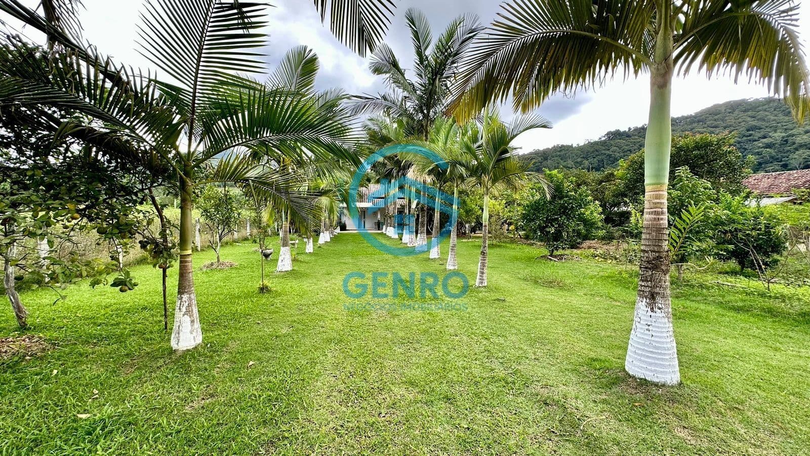 Chácara em Meio a Natureza com Riacho e Terreno de 5.000m² à venda em Canelinha/SC