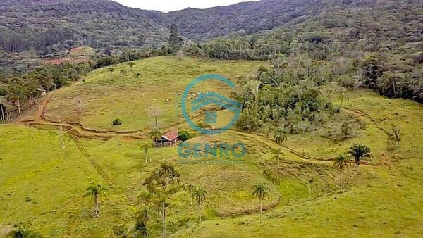Área Rural para Sítio com Riacho e Terreno de 35 HECTARES à venda em Porto Belo/SC