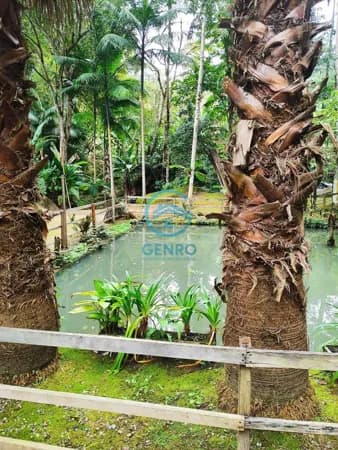 Chácara em Meio a Natureza com Cachoeira, Lagoa e Terreno de 5.000m² à venda em Canelinha/SC