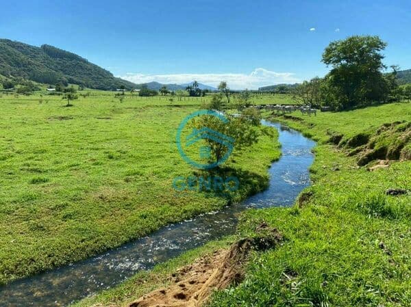 Fazenda/Sítios/Chácaras em Tijucas - Centro