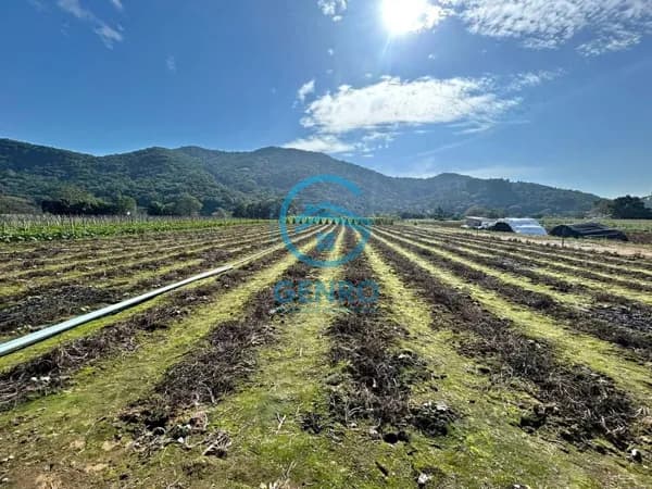 Lote para Chácara com Terreno com Escritura Pública de 9.322m² à venda em Santo Amaro da Imperatriz/SC