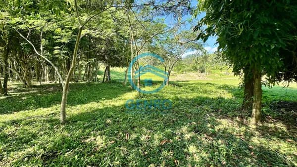 Lote para Chácara em Meio a Natureza com Riacho e Terreno de 1.080m² à venda em Tijucas/SC