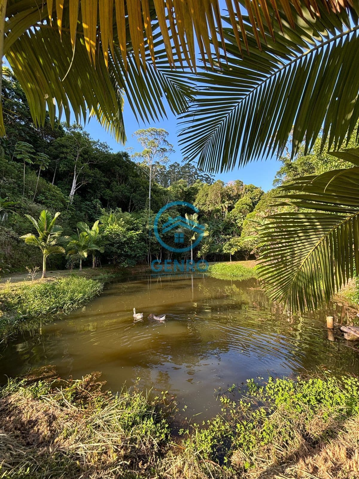 Chácara em Meio a Natureza com Lagoa, Piscina e Terreno de 4.200m² à venda em Canelinha/SC