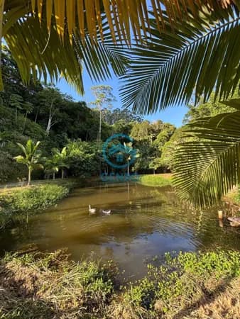 Chácara em Meio a Natureza com Lagoa, Piscina e Terreno de 4.200m² à venda em Canelinha/SC