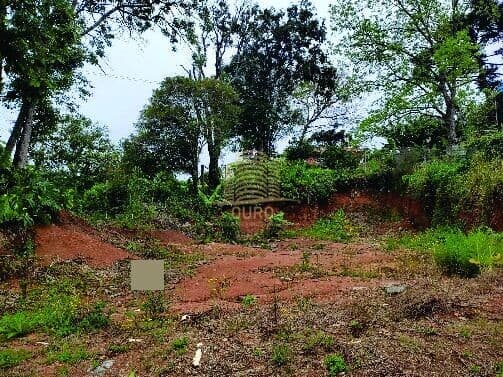 Lote/Terreno em Cotiporã - Centro