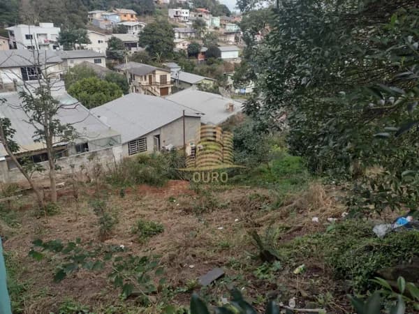 Lote/Terreno em Veranópolis - Santa Lúcia