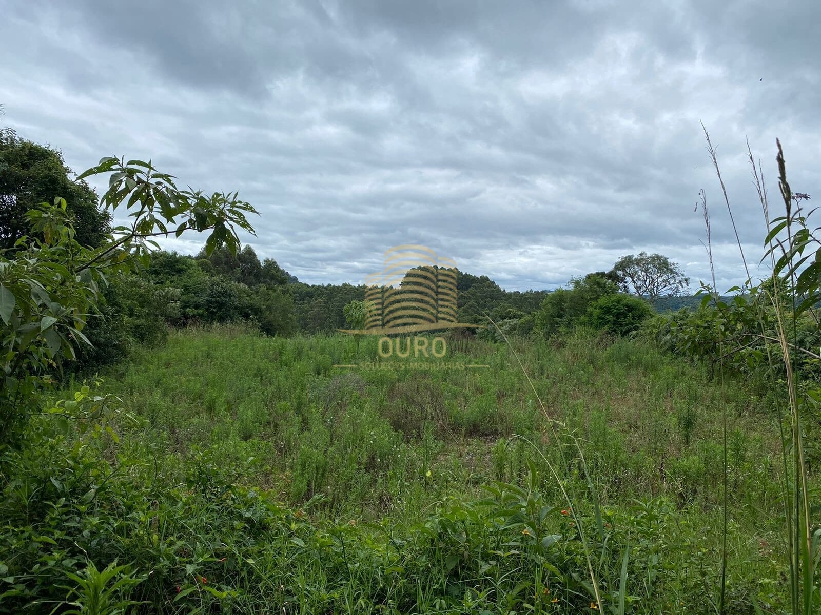 Fazenda/Sítios/Chácaras em Vila Flores - Interior