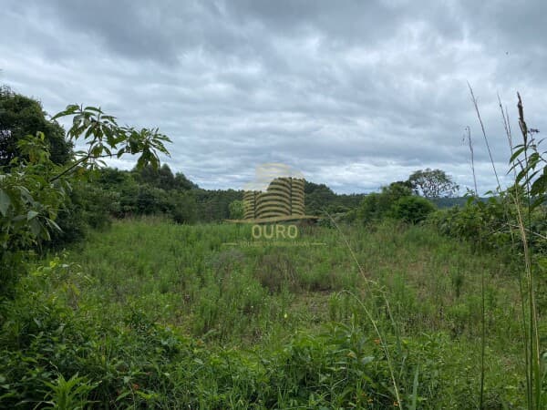 Fazenda/Sítios/Chácaras em Vila Flores - Interior