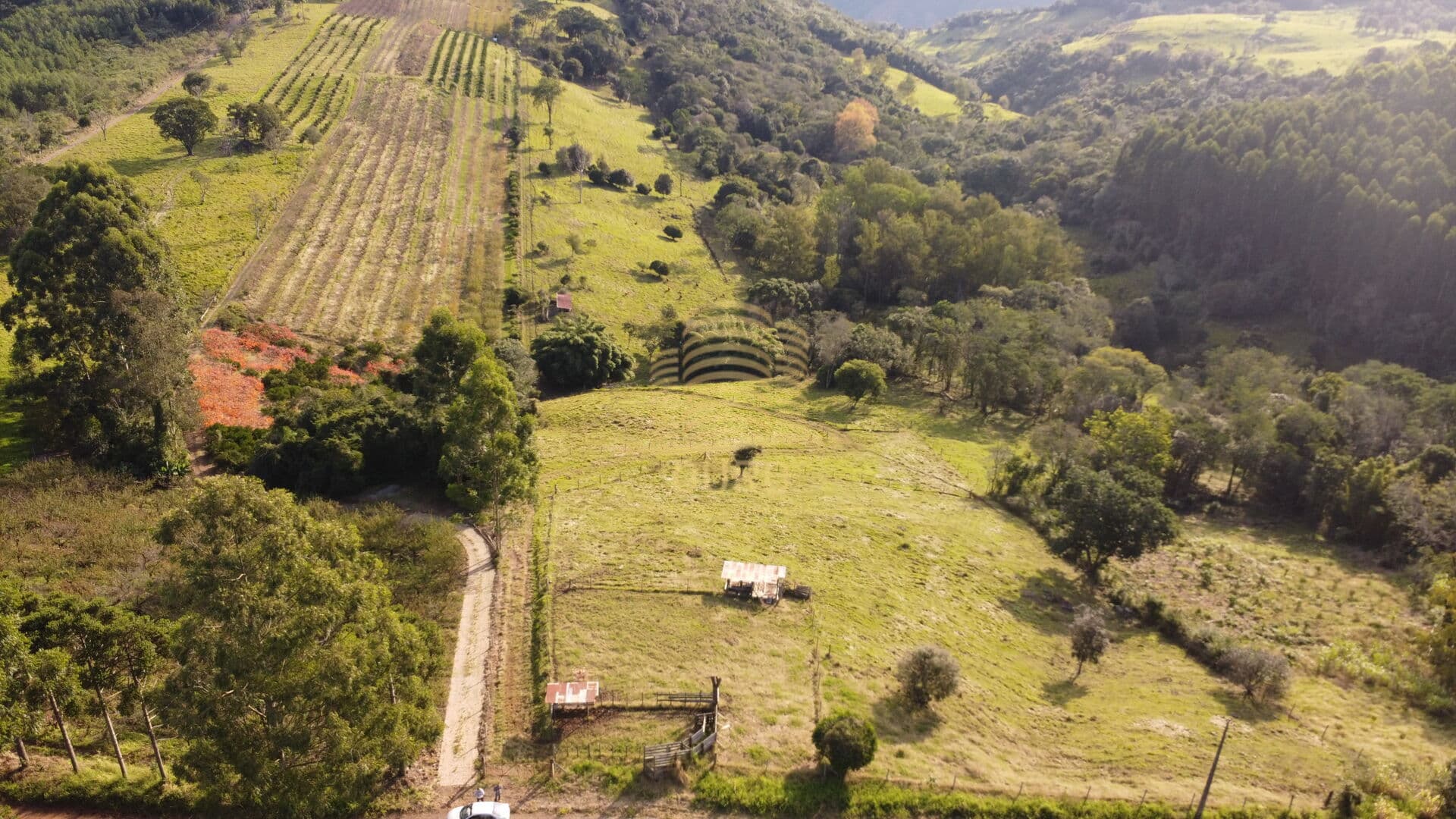 Área Rural 8.7 hectares