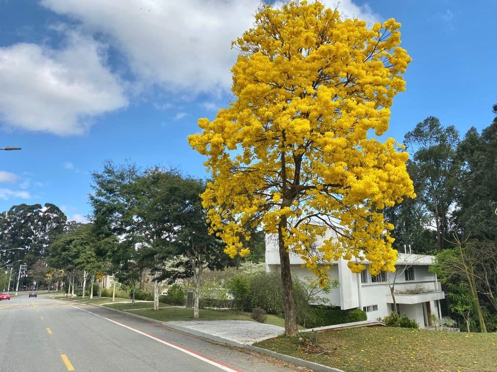 Casa Alto Padrão para Venda em Tamboré Barueri-SP