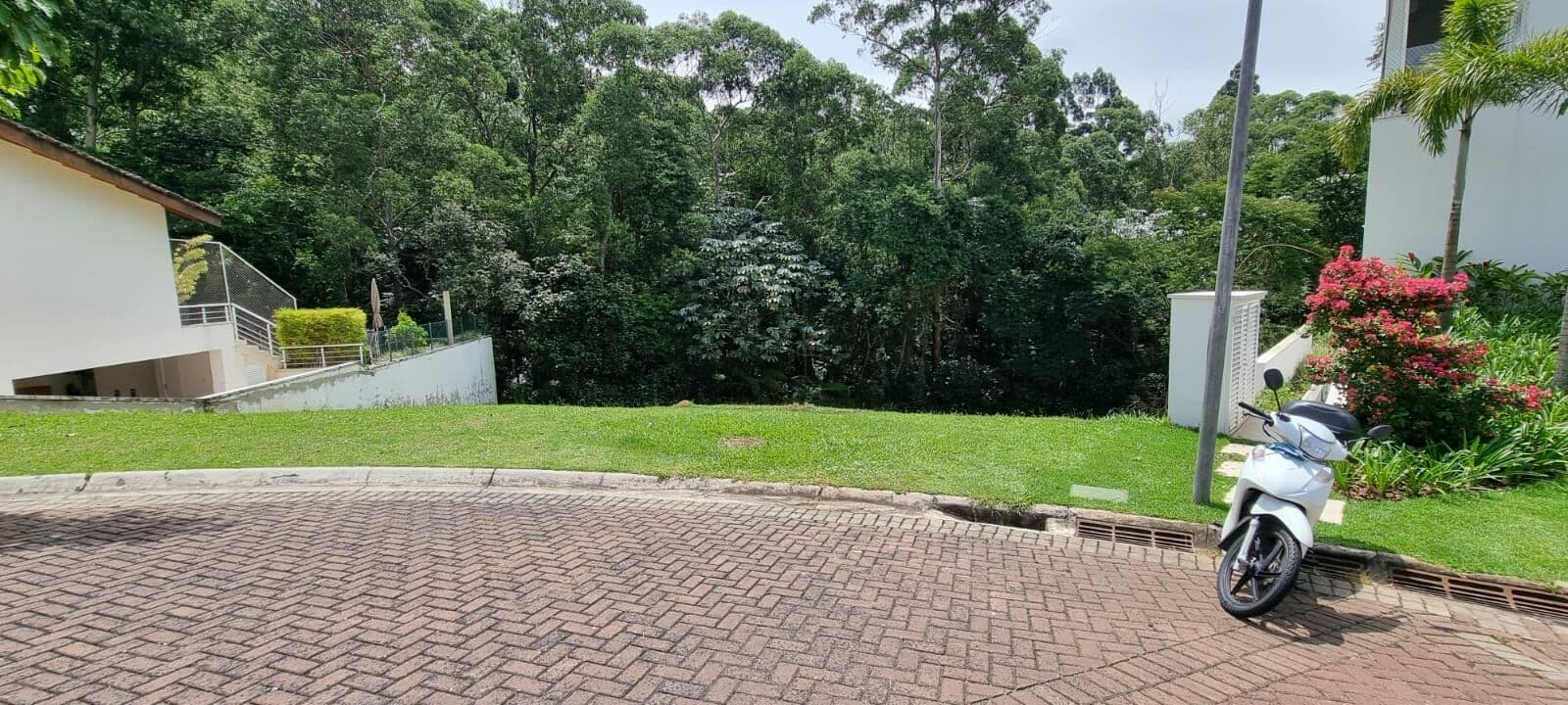 Terreno plano FUNDO PARA MATA