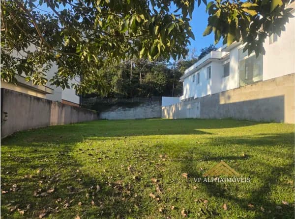 Plano com fundos para reserva florestal