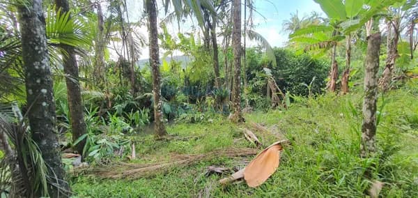 Terreno à venda em Indaial/SC