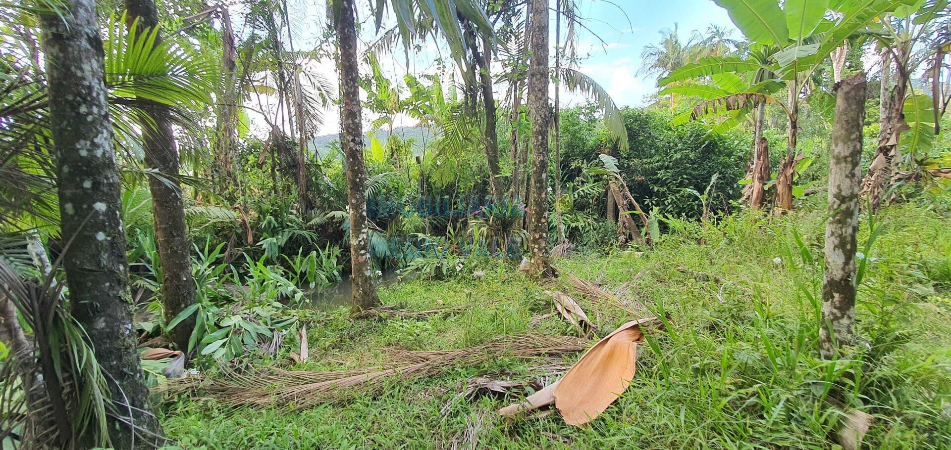 Terreno à venda em Indaial/SC