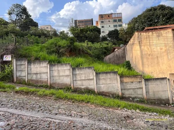 Lote/Terreno em Conselheiro Lafaiete - São Dimas