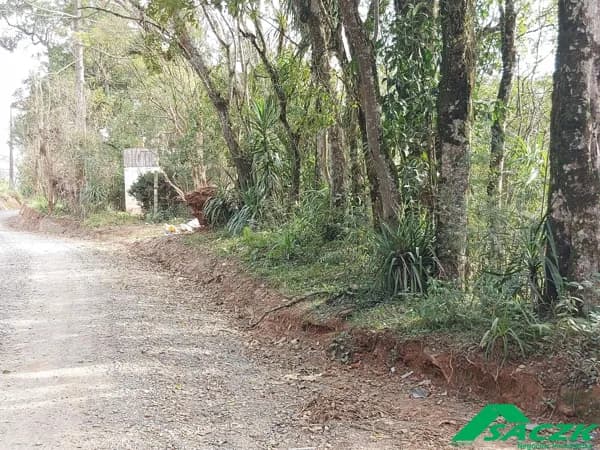 Lote/Terreno em Campo Largo - Rondinha