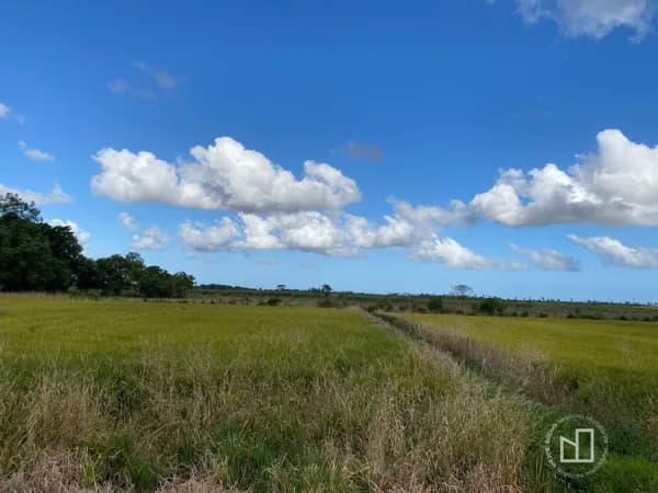 Terreno Rural - Madre